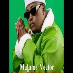 TshepisoDaDj & Steamz Beatz - Tribute To Malume Vector ft. Teekay