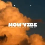 Vibekulture SA - Funky Guitar ft. Djy Mow SA