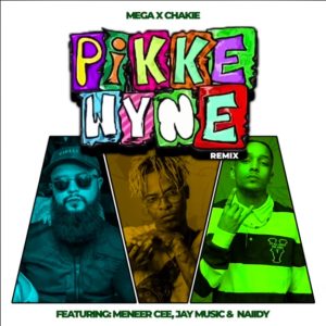 Mega x Chakie - Pikkewyne Remix ft. Meneer Cee, Jay Music & Naiidy