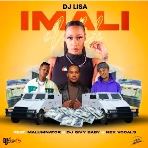 DJ Lisa - Imali ft. Malumnator, DJ Givy Baby & Nex Vocals