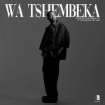 Cooper SA & Small S.P – Wa Tshembeka ft. Tyler ICU & Jay Sax
