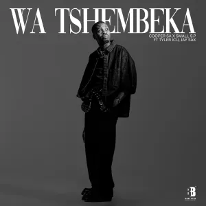 Cooper SA & Small S.P - Wa Tshembeka ft. Tyler ICU & Jay Sax