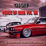 DJ Ace – Peace of Mind Vol 96 (Slow Jam Mix)