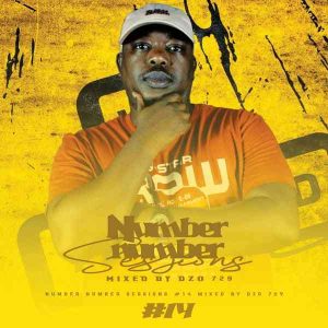 Dzo 729 - Number Number Session 14