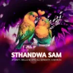 2Point1 - Sthandwa Sam ft. Bello M, Epic DJ, Seneath & X-Morizo