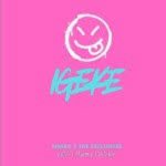 Msaro & Thee Exclusives - Igege ft. Mjapan, Dutchiie, Dlame & Scotch