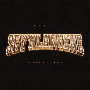 ANATII - SEY'HLANGENE ft. Al Xapo & Yumbs