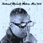 El Maestro - Natural Elements Reborn Mix 002