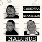 Shakes & Les, 031Choppa & Djy Biza - Didiza ft. JayJayy