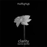 Nutty Nys - Clarity (Taints Remix)