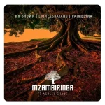 Mr Brown - Mzambiringa ft. LionessRatang, Pat Medina & Ashley Shane