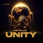 Mr Mluu - Unity EP
