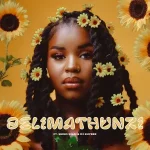 Nkosazana Daughter & Shino Kikai - Selimathunzi ft. DJ Khyber