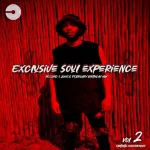 Record L Jones - Exclusive Soul Experience Vol 2 (Birthday Mix)