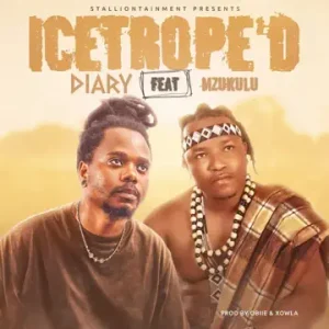 Diary & Mzukulu -Icetrope'D