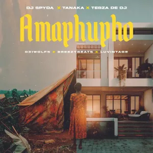 DJ Spyda, Tanaka & Tebza De DJ - Amaphupho ft. 031Wolfs, Breezybeats & Luvintage
