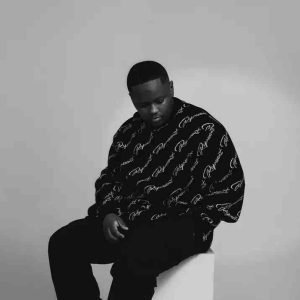 Stanky DeeJay - House2House Vol.1