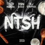 Thuto The Human, DBN Gogo & DJ Stopper - NTSH