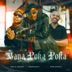 Fiso El Musica & LeeMcKrazy - Baya Poka Poka ft. Sims Makoya