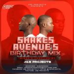 J&S Projects - Shakes Avenue Birthday Mix