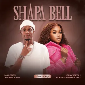 Naleboy Young King & Shandesh - Shapa Bell ft. King WaveMusiq