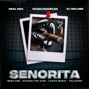 Real Nox, Kaygee The Vibe & Deep Sen - Senorita ft. Tellapee, DJ Walgee, Piano Disciples & Locco Musiq