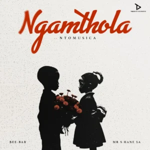 Bee-Bar & Mr Shane SA - Ngamthola ft. NtoMusica