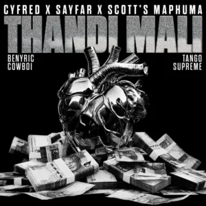 Cyfred, Sayfar & Scotts Maphuma - Thandi Mali ft. BenyRic, Cowboii & Tango Supreme