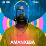 Dr Feel & Toshi - Amanxeba