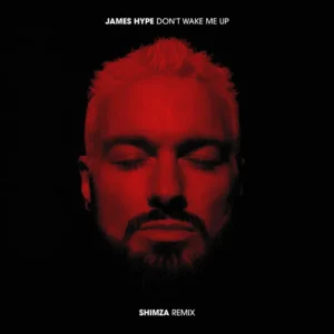 James Hype - Don't Wake Me Up (Shimza Remix)