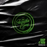 Reginald SA – Drop It Now