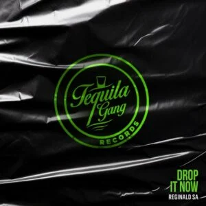 Reginald SA - Drop It Now