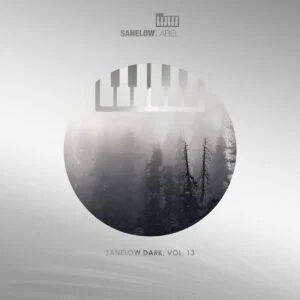 VA - Sanelow Dark, Vol. 13