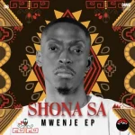 Shona SA - Mwenje EP