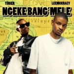 Tiiger & LeeMcKrazy - Ngeke Bang'Mele ft. QuayR Musiq & King Deep