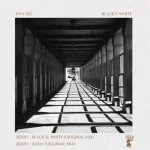 ZIDDO - Black & White EP