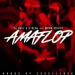 DJ Kafi & C'biya - Amaflop ft. Mpho Spizzy