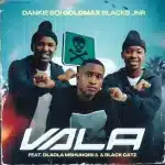 Dankie Boi, GoldMax & Blacks Jnr - Vala ft. Dladla Mshunqisi & Black Catz