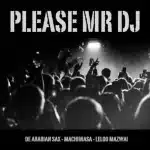 De Arabian Sax, MachiinaSA & Leloo Mazwai – Please Mr DJ