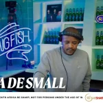 Kabza De Small - Flying Fish Surprisingly Good Series (Deep House)