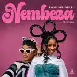 Lwah Ndlunkulu - Nembeza ft. Mawhoo
