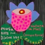 Musa Keys, Divine vee – Vafana Va Mali (Darque Remix)