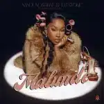 Nandi Ndathane & DJ Stokie - Malunde ft. DJ Nnandos & Neo Soul
