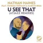 Nathan Haines & Atjazz – U See That (Atjazz Remixes)