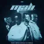 Novatron, Hotfurze & Mellow & Sleazy - Mali ft. Mpho Spizzy & D'Braz
