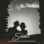Vesta SA & Ntando Yamahlubi - Sobabili ft. Spanish G Fly