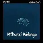 Why01.1 & uMalume Soul’s – Mthunzi Welanga