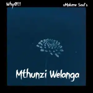 Why01.1 & uMalume Soul's - Mthunzi Welanga