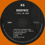 Buddynice – I Fell In Love EP
