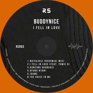 Buddynice - I Fell In Love EP